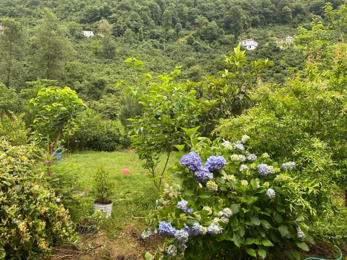 Doga Villa Yomra Exteriér fotografie