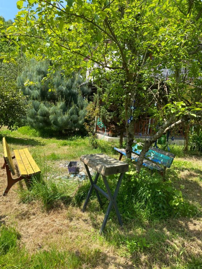 Doga Villa Yomra Exteriér fotografie